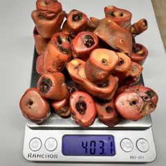 山珊瑚　穴ありビーズおまとめ403g