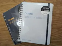 Item thumbnail for item 1d830fc0-a3a4-46bc-af5e-520f9e973264