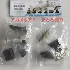 日本の清流 増補特装版　アカメ&アユ　まとめ売りNTC ネイチャーテクニカラー