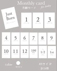 Item thumbnail for item 77b7321a-4f4d-4da4-a749-50c89fa67192