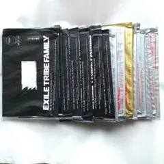 EXILE TRIBE EX FAMILY ファンクラブ会報　１６冊セット　FC