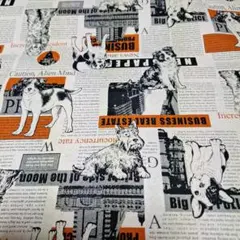 Item thumbnail for item 290385d0-2ecd-4678-b5ae-e84e3527d1b1