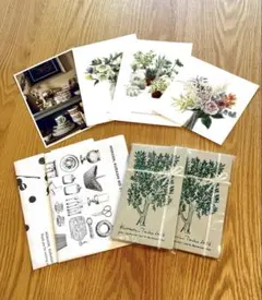 Item thumbnail for item 5d8f66c3-4ba3-4831-9503-20acfa87e987