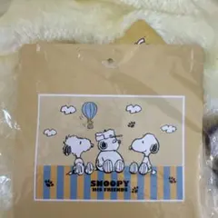 Item thumbnail for item 32a604d0-77d0-489a-80c9-b7fd2379131e