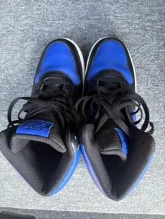 Nike 青黒ハイカットスニーカー