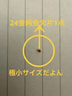 デ*ン様 24金 純金 欠片 極小サイズのサムネイル