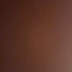 専用