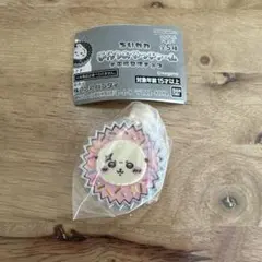 ちいかわ　手作りおやつチャーム　平成女児チョコ　ラッコ