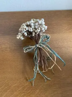 Item thumbnail for item 5abf2665-fcbc-42aa-8085-0e5475bc1a6b