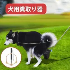 Item thumbnail for item dc416f7f-5c1c-4593-955d-146ea7a123fe