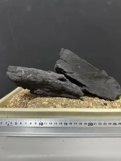ADA 山水石(15Kｇ以上) 2025年最新】山水石 adaの人気アイテム - メルカリ