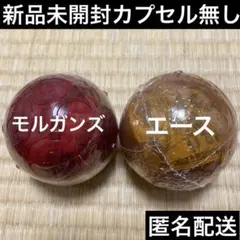ワンピの実　エース・モルガンズ未開封セット　カプセル無し