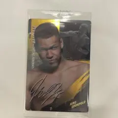 RIZINウエハース'25 No.09 エドポロキング