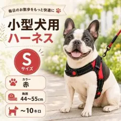 犬用 ハーネス 胴輪 Sサイズ フック付 レッド 赤 散歩 ワンタッチ 負担軽減のサムネイル