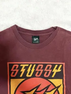 STUSSY Tシャツ レア
