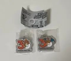 ポケモン 30周年 メタルチャームマスコット ヒトカゲ リザードン