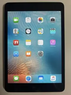 Apple iPad 本体 MD530J/A
