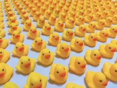 非売品・希少】ツムラ懸賞当選品 ひみつのアヒルちゃん未使用 - メルカリ