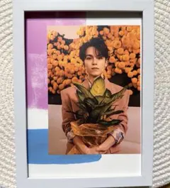 セブチ seventeen グッズ バーノン ポスター トレカ ポストカード g