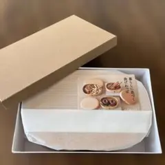 新品　大館工芸社　小判弁当大　秋田杉のサムネイル