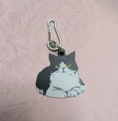 ✾ハンドメイド ネコちゃんキーホルダー✾