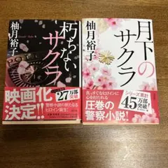 Item thumbnail for item 69bf5818-5629-40c6-911e-a8706ae035c1