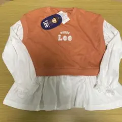 Item thumbnail for item e7aefefd-8248-4180-a0e5-9723103617b5