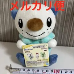 ポケットモンスター　ポケモン つれてってぬいぐるみ ミジュマル