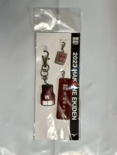 青山学院大学 第101回箱根駅伝オフィシャルユニフォームストラップ