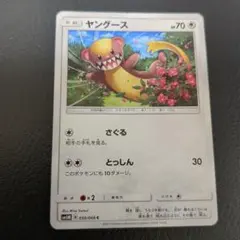 ポケモンカード ヤングース SM5M 050/066のサムネイル