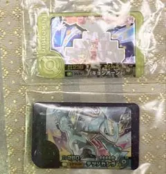 ポケモンフレンダ　ピック　2枚セット