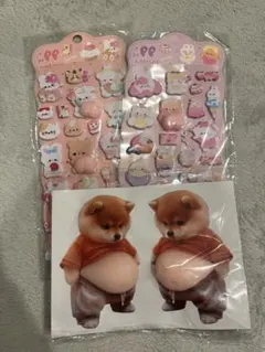 おしりシール2枚.おなかシール2枚セット