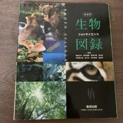 Item thumbnail for item cc6e3380-dcf0-49bc-a771-6664f302216a