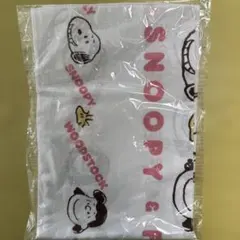 Item thumbnail for item 1e969924-c19f-42a9-8575-9302ab9b6699