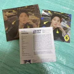 Stray Kids 5star デジパ I.N