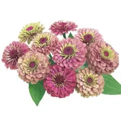 crystal様 リクエスト 2点 まとめ商品