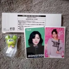TWICE JEONGYEON クリアファイル & キーホルダー