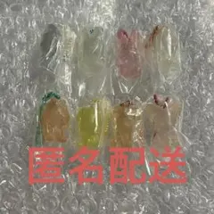 straykids skzoo グミ&チャーム　全8種　コンプリートセット