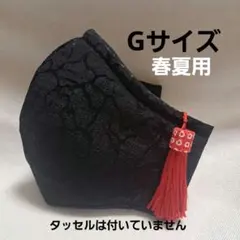 春夏用　5層仕立てG　裏側3層ハニカムメッシュ　飛沫防止　花粉症　洗えるマスク