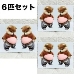 柴犬６匹セット 立体お腹ぷにぷに 柴犬シール おなかぷにぷに