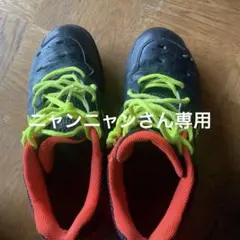 Item thumbnail for item fa5c2e3f-3160-4c62-8747-fe6492202e27