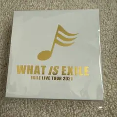 EXILE TETSUYA メンプロ　イヤーカフ＆バングルセット