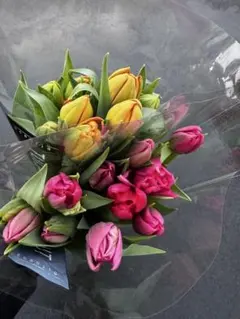 椿様 リクエスト 2点 まとめ商品