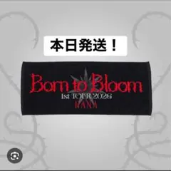 Item thumbnail for item 1da1c714-6538-4929-8536-8f05c6c7fbc6