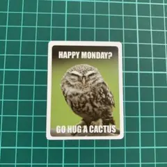 動物と一言 可愛い フクロウ アニマル 英語ver 防水ステッカー【新品】★