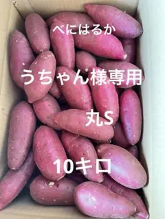うちゃん様専用　丸S 10キロ
