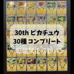 ピカチュウ コンプリートセット 30種 30枚 30周年