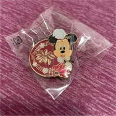 ⭐️レア⭐️ディズニーシー⭐️ミニーちゃんクリスマスピンバッジ