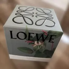 Loewe ロエベ キャンドル マッシュルーム S 170g - メルカリ
