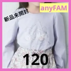 長袖　Tシャツ ❤︎ トウシューズ anyFAM 120 トップス